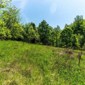 Photo #29 of 2255 BOONESVILLE RD, DYKE, VA 138.0 acres