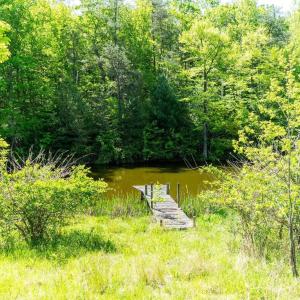 Photo #30 of 2255 BOONESVILLE RD, DYKE, VA 138.0 acres