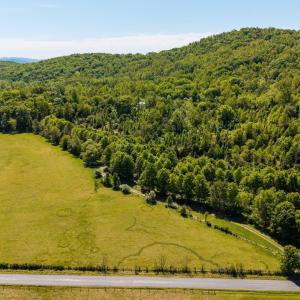 Photo #4 of 2255 BOONESVILLE RD, DYKE, VA 138.0 acres