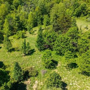 Photo #11 of 2255 BOONESVILLE RD, DYKE, VA 138.0 acres