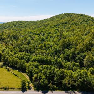 Photo #3 of 2255 BOONESVILLE RD, DYKE, VA 138.0 acres