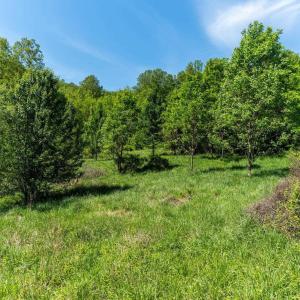 Photo #27 of 2255 BOONESVILLE RD, DYKE, VA 138.0 acres