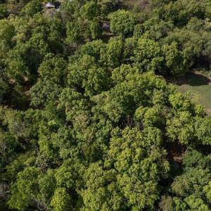 Photo #29 of SUNRISE DR, BROADWAY, VA 8.2 acres