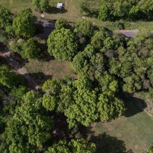 Photo #26 of SUNRISE DR, BROADWAY, VA 8.2 acres