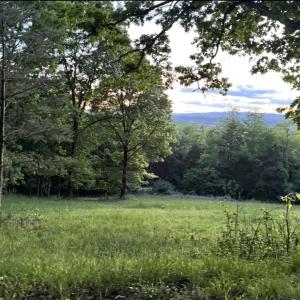 Photo #3 of SUNRISE DR, BROADWAY, VA 8.2 acres