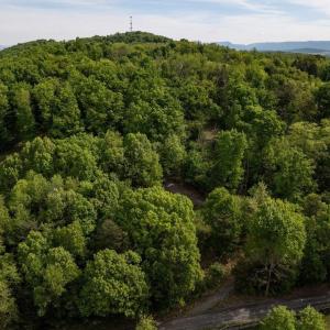 Photo #10 of SUNRISE DR, BROADWAY, VA 8.2 acres