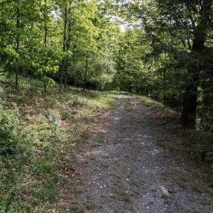 Photo #7 of SUNRISE DR, BROADWAY, VA 8.2 acres