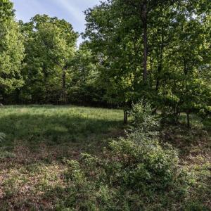 Photo #5 of SUNRISE DR, BROADWAY, VA 8.2 acres