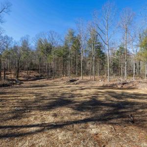 Photo #8 of 24.97 ac STRIBLING SPRINGS RD, MOUNT SOLON, VA 25.0 acres