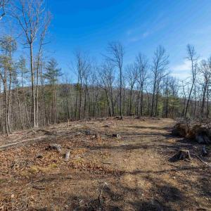 Photo #29 of 24.97 ac STRIBLING SPRINGS RD, MOUNT SOLON, VA 25.0 acres