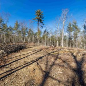 Photo #28 of 24.97 ac STRIBLING SPRINGS RD, MOUNT SOLON, VA 25.0 acres