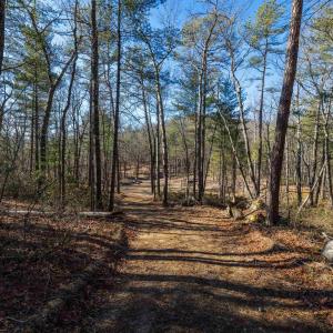 Photo #7 of 24.97 ac STRIBLING SPRINGS RD, MOUNT SOLON, VA 25.0 acres