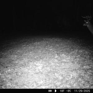 Photo #32 of 24.97 ac STRIBLING SPRINGS RD, MOUNT SOLON, VA 25.0 acres