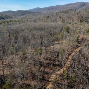 Photo #13 of 24.97 ac STRIBLING SPRINGS RD, MOUNT SOLON, VA 25.0 acres