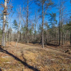 Photo #27 of 24.97 ac STRIBLING SPRINGS RD, MOUNT SOLON, VA 25.0 acres