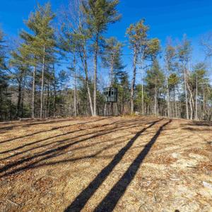 Photo #30 of 24.97 ac STRIBLING SPRINGS RD, MOUNT SOLON, VA 25.0 acres