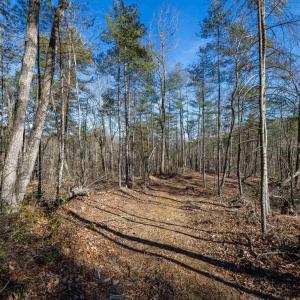 Photo #9 of 24.97 ac STRIBLING SPRINGS RD, MOUNT SOLON, VA 25.0 acres