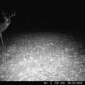 Photo #33 of 24.97 ac STRIBLING SPRINGS RD, MOUNT SOLON, VA 25.0 acres
