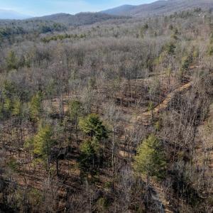 Photo #12 of 24.97 ac STRIBLING SPRINGS RD, MOUNT SOLON, VA 25.0 acres