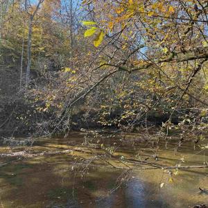 Photo #62 of BRIDGEPORT RD, ARVONIA, VA 29.4 acres