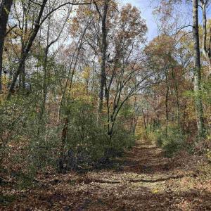 Photo #45 of BRIDGEPORT RD, ARVONIA, VA 29.4 acres