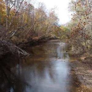 Photo #5 of BRIDGEPORT RD, ARVONIA, VA 29.4 acres