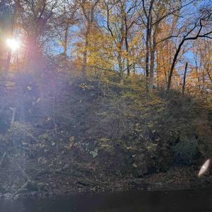 Photo #59 of BRIDGEPORT RD, ARVONIA, VA 29.4 acres