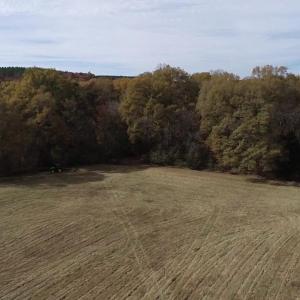 Photo #16 of BRIDGEPORT RD, ARVONIA, VA 29.4 acres