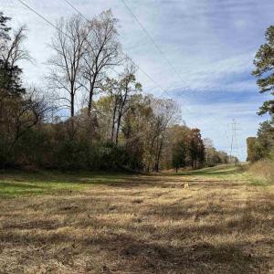 Photo #39 of BRIDGEPORT RD, ARVONIA, VA 29.4 acres
