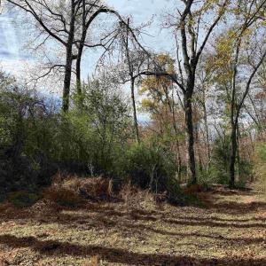 Photo #41 of BRIDGEPORT RD, ARVONIA, VA 29.4 acres