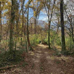 Photo #44 of BRIDGEPORT RD, ARVONIA, VA 29.4 acres