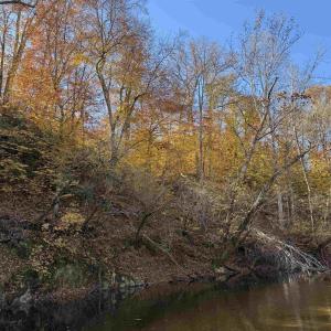 Photo #58 of BRIDGEPORT RD, ARVONIA, VA 29.4 acres
