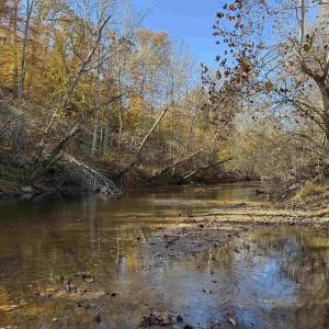Photo #64 of BRIDGEPORT RD, ARVONIA, VA 29.4 acres