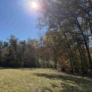 Photo #50 of BRIDGEPORT RD, ARVONIA, VA 29.4 acres