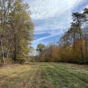 Photo #8 of BRIDGEPORT RD, ARVONIA, VA 29.4 acres
