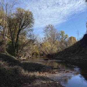Photo #14 of BRIDGEPORT RD, ARVONIA, VA 29.4 acres