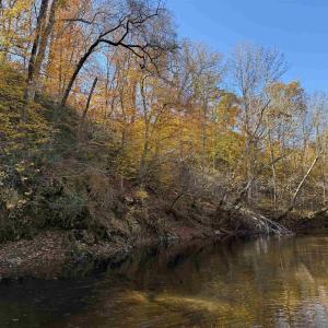 Photo #60 of BRIDGEPORT RD, ARVONIA, VA 29.4 acres