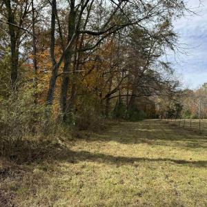 Photo #35 of BRIDGEPORT RD, ARVONIA, VA 29.4 acres
