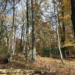 Photo #30 of BRIDGEPORT RD, ARVONIA, VA 29.4 acres