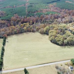 Photo #12 of BRIDGEPORT RD, ARVONIA, VA 29.4 acres