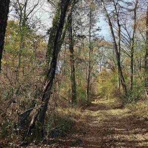 Photo #43 of BRIDGEPORT RD, ARVONIA, VA 29.4 acres