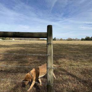 Photo #34 of BRIDGEPORT RD, ARVONIA, VA 29.4 acres