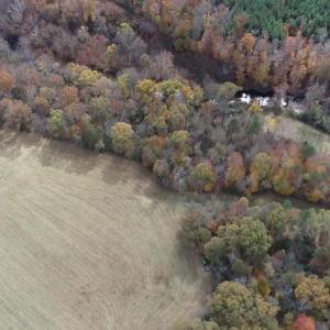 Photo #19 of BRIDGEPORT RD, ARVONIA, VA 29.4 acres