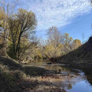 Photo #63 of BRIDGEPORT RD, ARVONIA, VA 29.4 acres