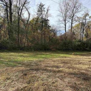 Photo #37 of BRIDGEPORT RD, ARVONIA, VA 29.4 acres