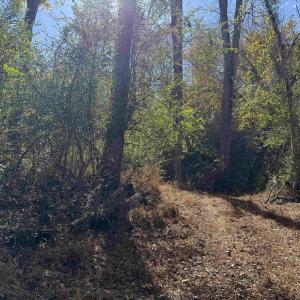 Photo #40 of BRIDGEPORT RD, ARVONIA, VA 29.4 acres