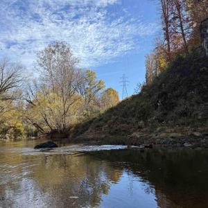 Photo #55 of BRIDGEPORT RD, ARVONIA, VA 29.4 acres