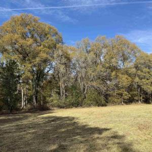 Photo #51 of BRIDGEPORT RD, ARVONIA, VA 29.4 acres