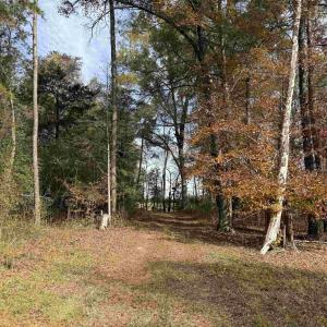 Photo #28 of BRIDGEPORT RD, ARVONIA, VA 29.4 acres