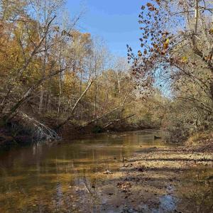 Photo #57 of BRIDGEPORT RD, ARVONIA, VA 29.4 acres